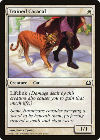 Trained Caracal [Return to Ravnica] | The Time Vault CA