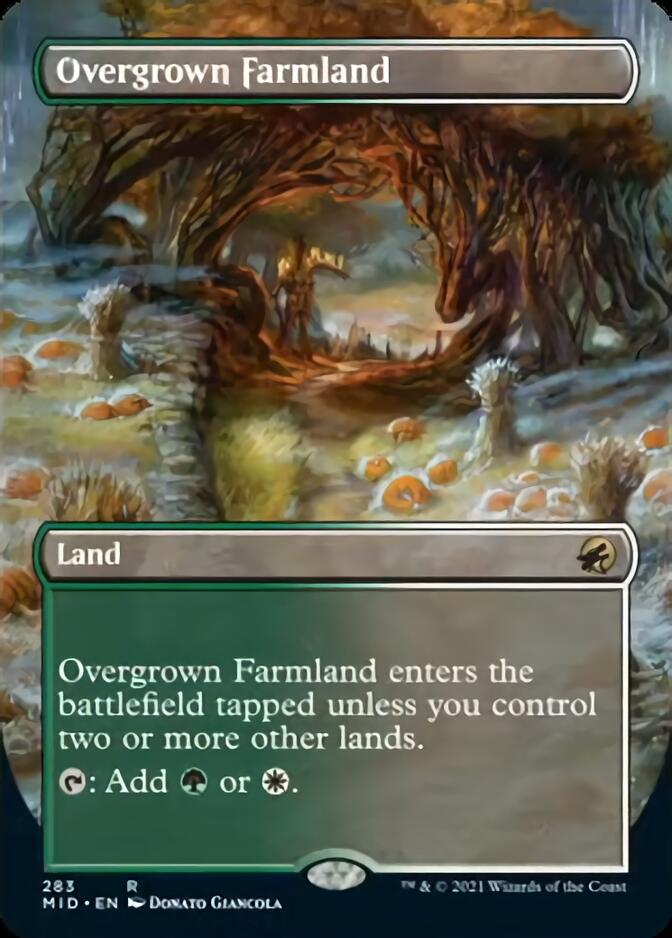 Overgrown Farmland (Borderless) [Innistrad: Midnight Hunt] | The Time Vault CA