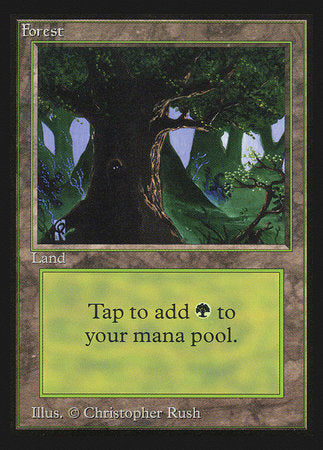 Forest (Eyes)(IE) [Intl. Collectors’ Edition] | The Time Vault CA