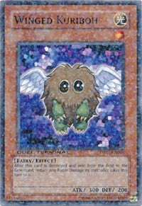 Winged Kuriboh [DT01-EN008] Common | The Time Vault CA