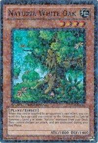 Naturia White Oak [DT04-EN081] Super Rare | The Time Vault CA