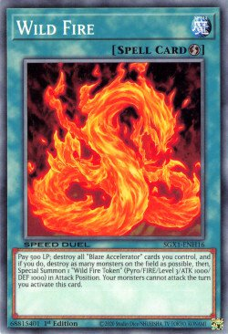 Wild Fire [SGX1-ENH16] Common | The Time Vault CA