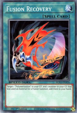 Fusion Recovery [SGX1-ENA16] Common | The Time Vault CA