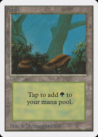 Forest (A) [Unlimited Edition] | The Time Vault CA