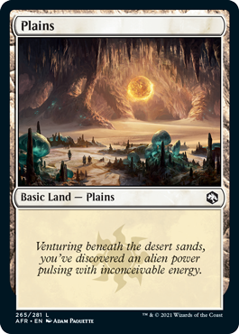 Plains (265) [Dungeons & Dragons: Adventures in the Forgotten Realms] | The Time Vault CA