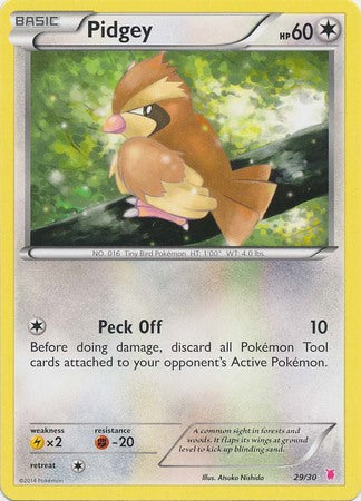 Pidgey (29/30) [XY: Trainer Kit 1 - Wigglytuff] | The Time Vault CA