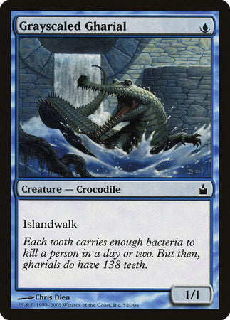 Grayscaled Gharial [Ravnica: City of Guilds] | The Time Vault CA