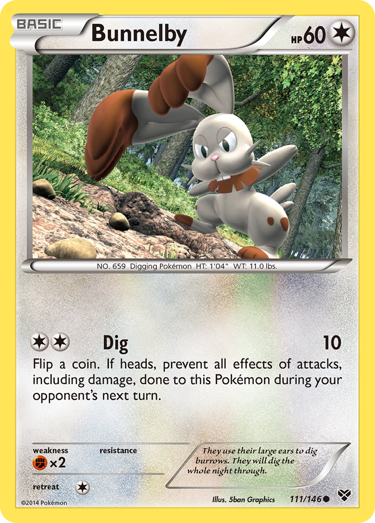 Bunnelby (111/146) [XY: Base Set] | The Time Vault CA