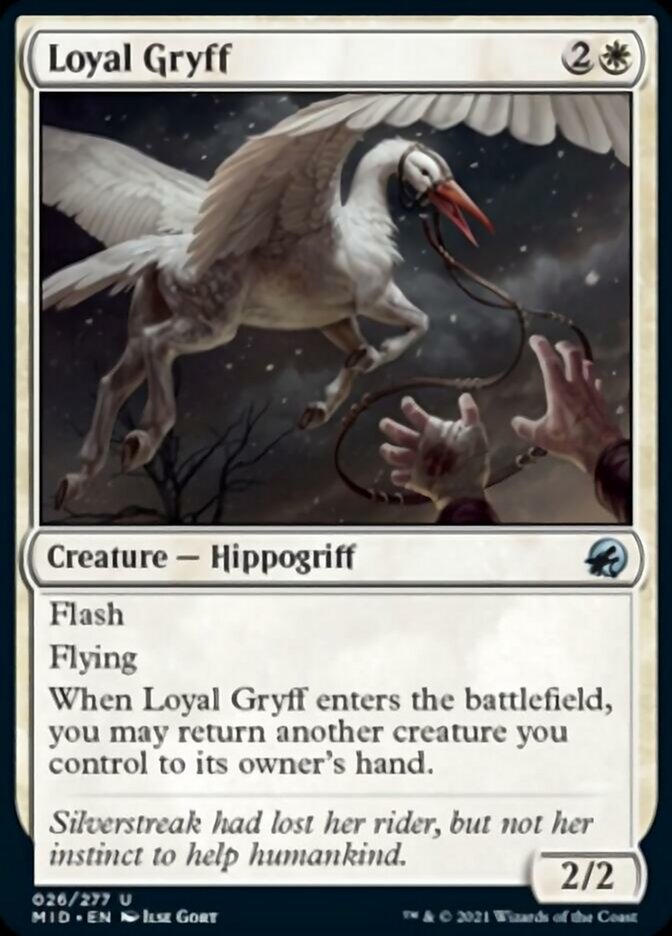 Loyal Gryff [Innistrad: Midnight Hunt] | The Time Vault CA