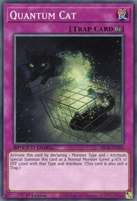 Quantum Cat [SBCB-EN200] Common | The Time Vault CA