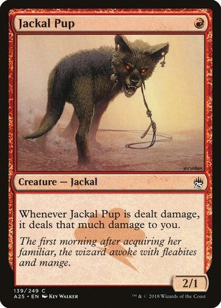 Jackal Pup [Masters 25] | The Time Vault CA