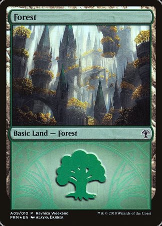 Forest - Selesnya (A09) [GRN Ravnica Weekend] | The Time Vault CA