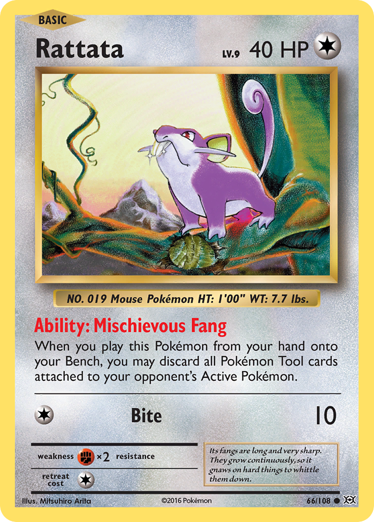 Rattata (66/108) [XY: Evolutions] | The Time Vault CA