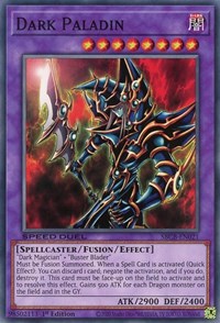 Dark Paladin [SBCB-EN021] Common | The Time Vault CA