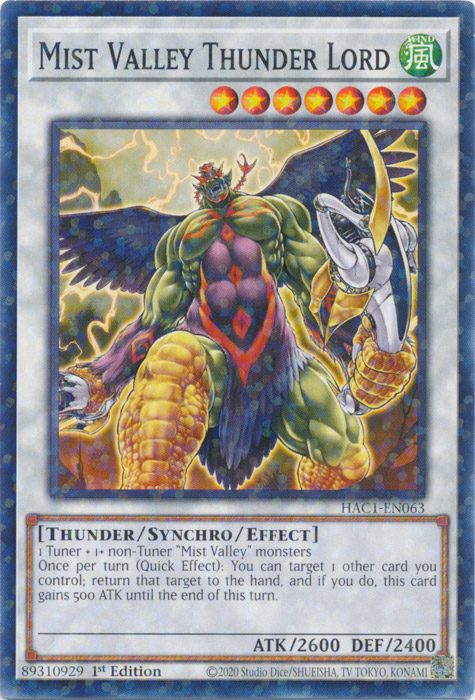 Mist Valley Thunder Lord (Duel Terminal) [HAC1-EN063] Common | The Time Vault CA