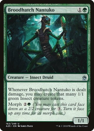 Broodhatch Nantuko [Masters 25] | The Time Vault CA