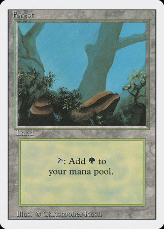Forest (A) [Revised Edition] | The Time Vault CA