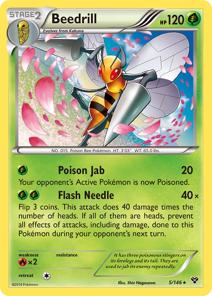 Beedrill (5/146) [XY: Base Set] | The Time Vault CA