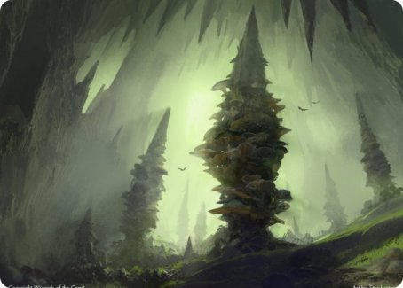 Forest (280) Art Card [Dungeons & Dragons: Adventures in the Forgotten Realms Art Series] | The Time Vault CA