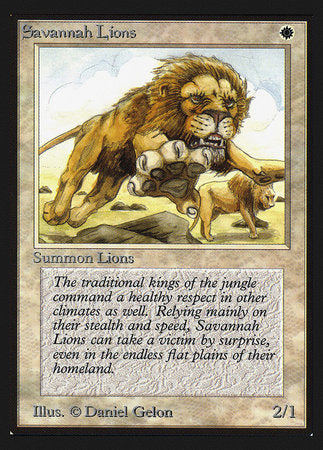 Savannah Lions (CE) [Collectors’ Edition] | The Time Vault CA
