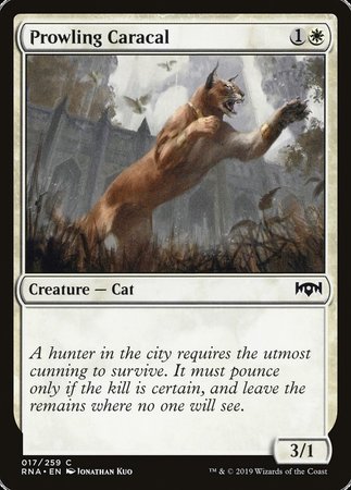 Prowling Caracal [Ravnica Allegiance] | The Time Vault CA