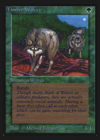 Timber Wolves (CE) [Collectors’ Edition] | The Time Vault CA