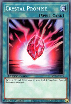 Crystal Promise [SGX1-ENF13] Common | The Time Vault CA