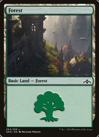 Forest [Guilds of Ravnica] | The Time Vault CA