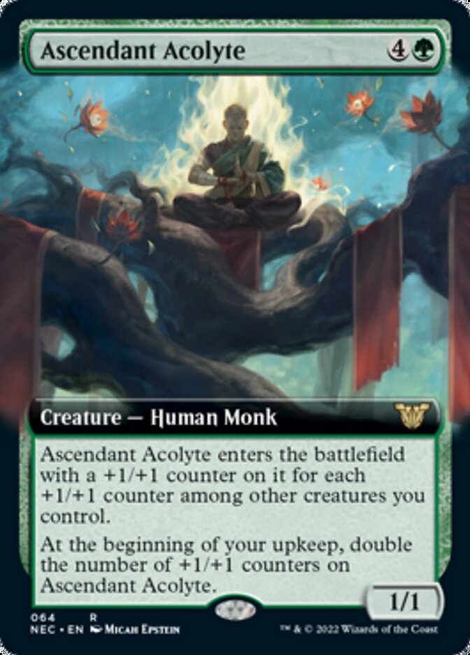 Ascendant Acolyte (Extended) [Kamigawa: Neon Dynasty Commander] | The Time Vault CA
