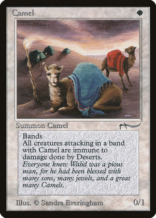 Camel [Arabian Nights] | The Time Vault CA