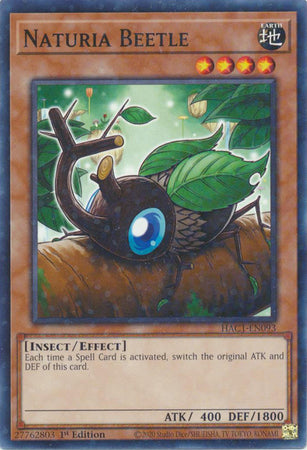 Naturia Beetle (Duel Terminal) [HAC1-EN093] Common | The Time Vault CA