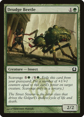 Drudge Beetle [Return to Ravnica] | The Time Vault CA