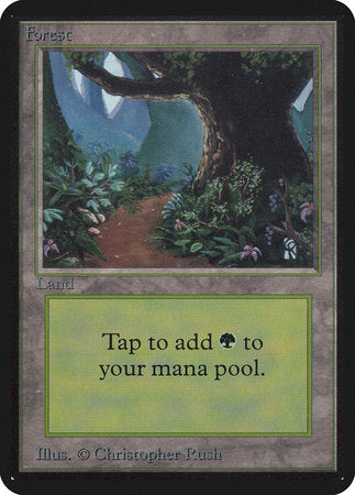 Forest (B) [Limited Edition Alpha] | The Time Vault CA