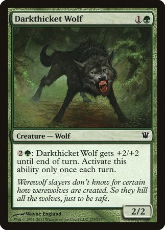 Darkthicket Wolf [Innistrad] | The Time Vault CA