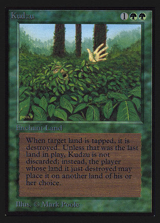 Kudzu (IE) [Intl. Collectors’ Edition] | The Time Vault CA